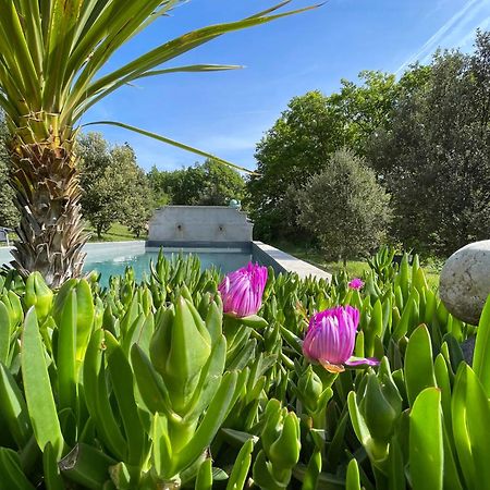 Pigeonnier Des Banons Bed & Breakfast Puimoisson Dış mekan fotoğraf