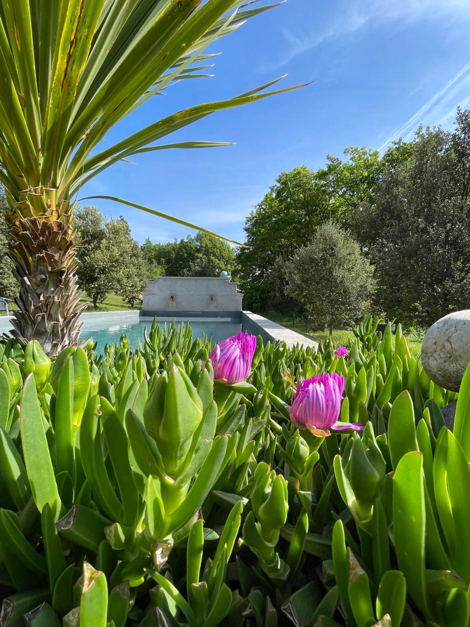 Pigeonnier Des Banons Bed & Breakfast Puimoisson Dış mekan fotoğraf