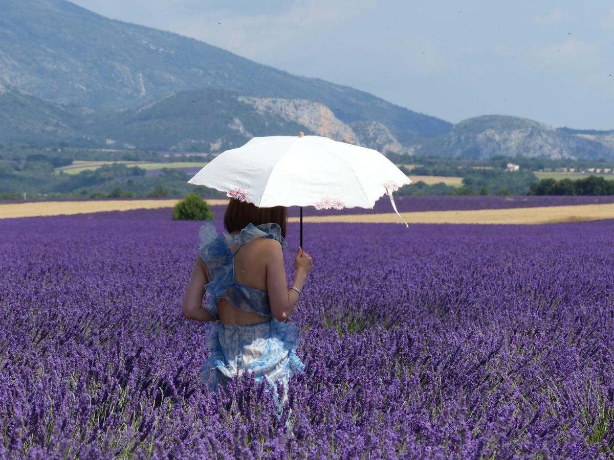 Pigeonnier Des Banons Bed & Breakfast Puimoisson Dış mekan fotoğraf