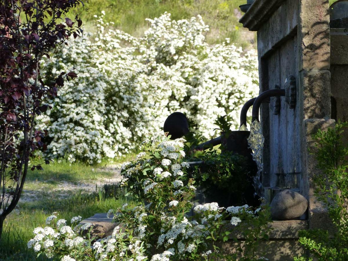 Pigeonnier Des Banons Bed & Breakfast Puimoisson Dış mekan fotoğraf